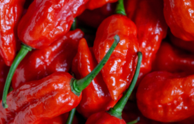 Carolina Reaper Hot Sauce