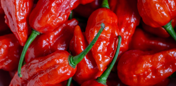 Carolina Reaper Hot Sauce